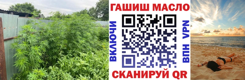 как найти   Горячий Ключ  ТГК жижа 